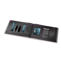 Catalog sisteme de informare si orientare Moedel